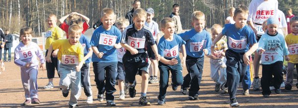 FOTOS (2): T. KRAUSE - Die Kleinsten absolvierten bei der elften Torgelower Greifenmeile die 400-Meter-Runde. FOTOS (2): T. KRAUSE - Die Kleinsten absolvierten bei der elften Torgelower Greifenmeile die 400-Meter-Runde.