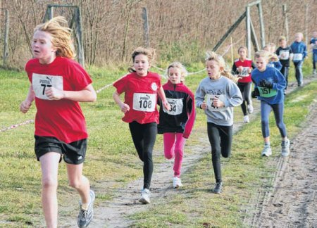 Kinder und Jugendliche waren bei der diesjährigen Cross-Serie im Uecker-Randow-Kreis und Anklam am meisten vertreten. Kinder und Jugendliche waren bei der diesjährigen Cross-Serie im Uecker-Randow-Kreis und Anklam am meisten vertreten.