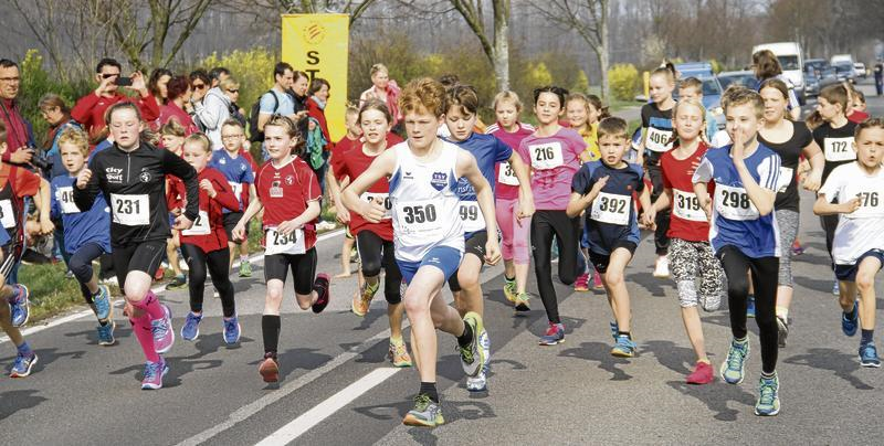 Der Haffmarathon in Ueckermünde ist der Höhepunkt schlechthin in der Leichtathletik-Abteilung. Foto: Christian Johner Der Haffmarathon in Ueckermünde ist der Höhepunkt schlechthin in der Leichtathletik-Abteilung. Foto: Christian Johner