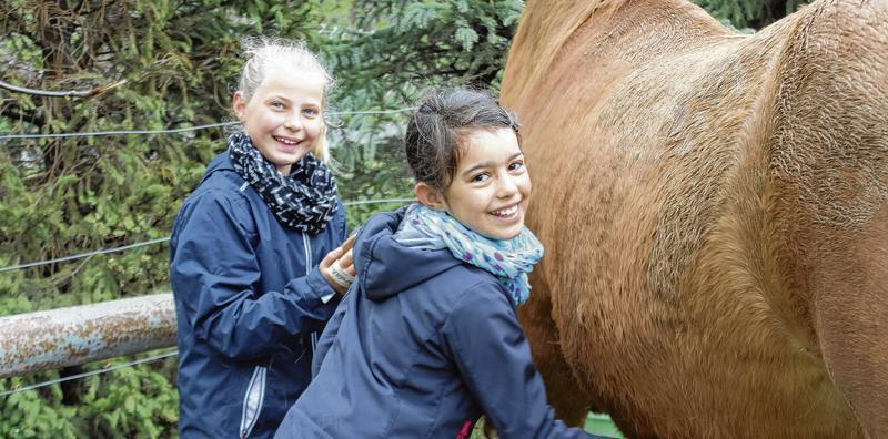 Nicht nur das Reiten, sondern auch die Pflege der Tiere gehört bei den Kindern dazu. Nicht nur das Reiten, sondern auch die Pflege der Tiere gehört bei den Kindern dazu.