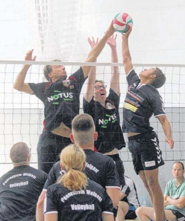 Volleyball: Greif-Sechser glückt Saisonstart nach Maß