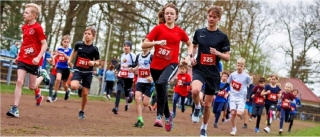 Über 100 Teilnehmer waren bei der Greifenmeile am Start. Foto: Andy Bünning