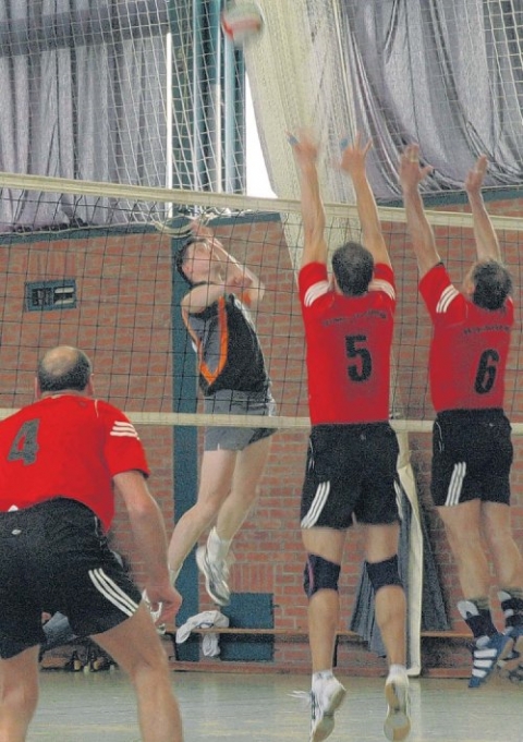 Volleyballer freuen sich auf die Derbys