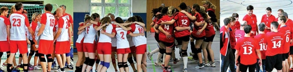Volleyballer ziehen Bilanz