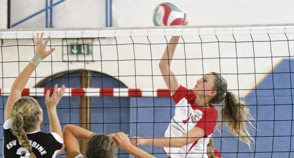 Volleyball: Perfekter Spieltag für das Nachwuchsteam