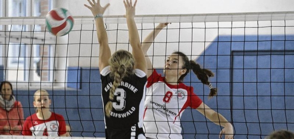 Sie sind Spitze: Volleyballer ziehen positive Bilanz